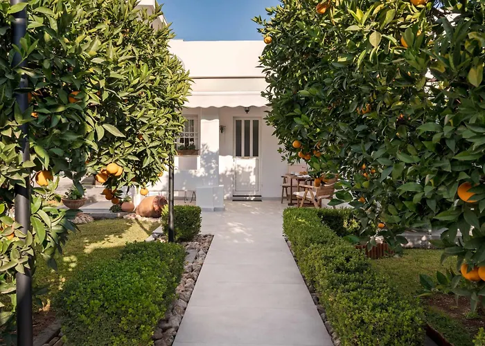 Relaxing House With Garden